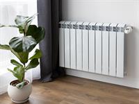 Shutterstock_2441360279_radiator_radiators.jpg