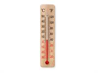 Shutterstock_2497775069.jpg