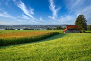 barn-5979501_960_720.jpg