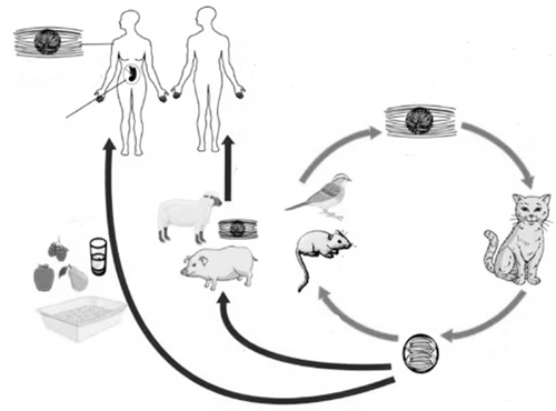 Screenshot 2026-01-24 191231.png