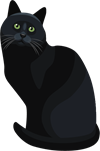 кот.png