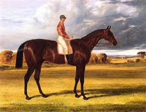 36 httpscommons.wikimedia.orgwikiFileAmato.jpg.jpg