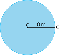 YCUZD_240624_6382_radiuss_17.png