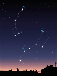 YCUZD_240410_6146_polarzv_123_5.png
