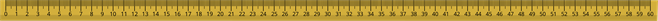 60cm.png