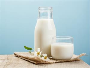 Shutterstock_568076731_milk_piens.jpg