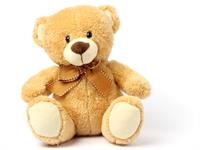 Shutterstock_607976060_teddy bear_plīša lācis.jpg