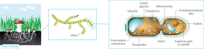 YCUZD_250323_7159_1.png