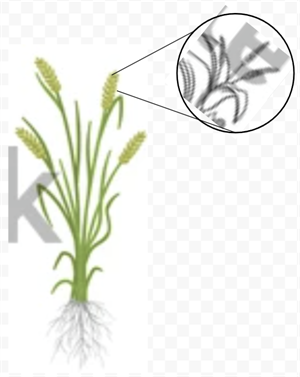 Screenshot 2025-10-10 092135.png