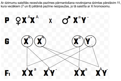 Screenshot 2026-01-28 123051.png