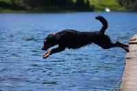 jump3.jpg