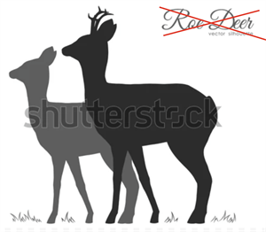 Screenshot 2025-12-03 140047.png