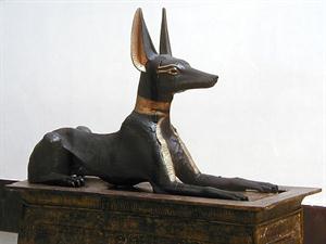 90.jpg