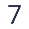 7 Asset 1.png