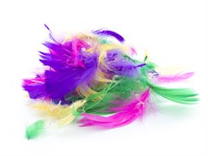 Shutterstock_151270190_feathers_spalvas.jpg