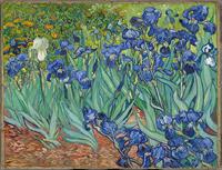 Irises-Vincent_van_Gogh.jpg