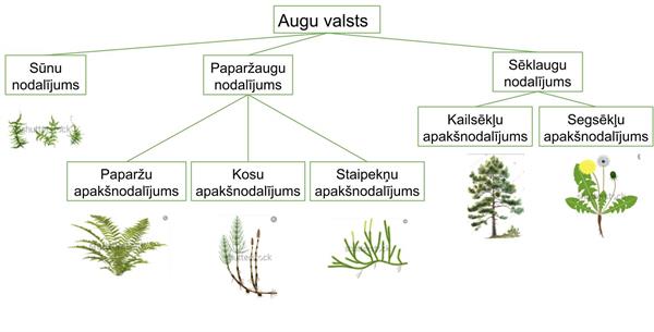 Augu valsts (2).jpg