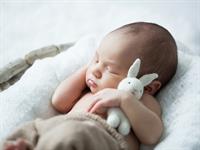 shutterstock_524300305.jpg