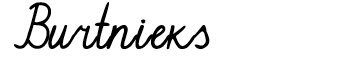 burtnieks.PNG