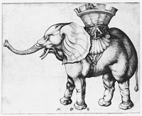 WIKI_20251023_Martin_Schongauer_Elefant.jpg