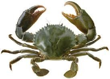 0232035L.png