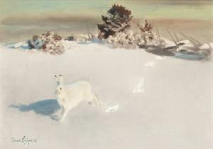 47 httpscommons.wikimedia.orgwikiFileBruno_Liljefors_-_Vinterhare_vid_gardesgard.jpg.jpg