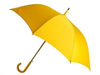 Shutterstock_2512379639_umbrella_lietussargs (1).jpg