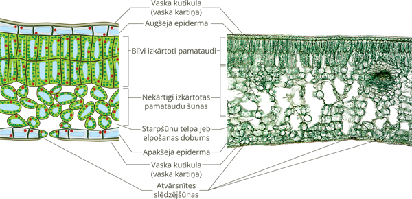 YCUZD_250403_7159_12.png