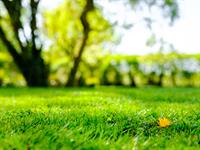 shutterstock_1704767659.jpg