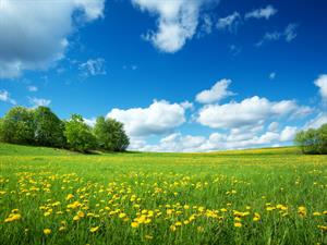 shutterstock_557866879.jpg