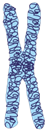 YCUZD_230929_5601_DNA_14.png