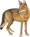 YCUZD_230908_5535_koijots_5.png