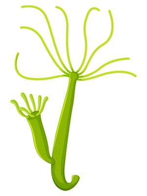 shutterstock_1929566693.jpg