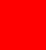 rot1.jpg
