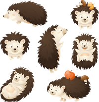 YCUZD_220629_3979_hedgehogs_eži.png