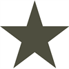 star grey.png