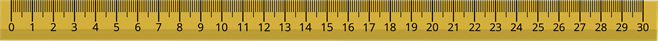 30cm.png