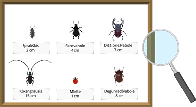 YCUZD_220705_3951_5.png