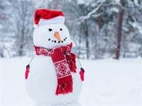 Shutterstock_784931395_snowman_sniegavīrs.jpg