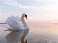 shutterstock_118169569.jpg