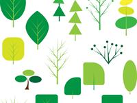Shutterstock_1938448618_trees_koki.jpg