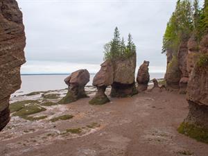 Shutterstock_1082043254_low tide_bēgums.jpg