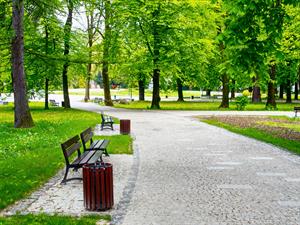 park_shutterstock_94456312.jpg