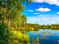 shutterstock_1688335555.jpg