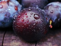 Shutterstock_1480025381_plum_plūme.jpg