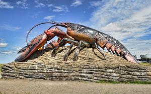 lobster-pix.jpg