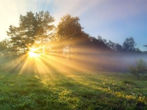 Shutterstock_1099386764_sun in morning_saule no rīta.jpg