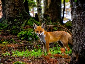 shutterstock_1210510987.jpg