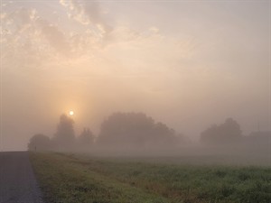 shutterstock_2684087555_fog_migla.jpg