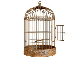 Shutterstock_2188968197_bird cage_putnu būris.jpg